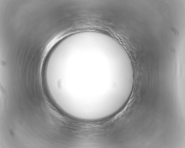 X0000090950246200708021107