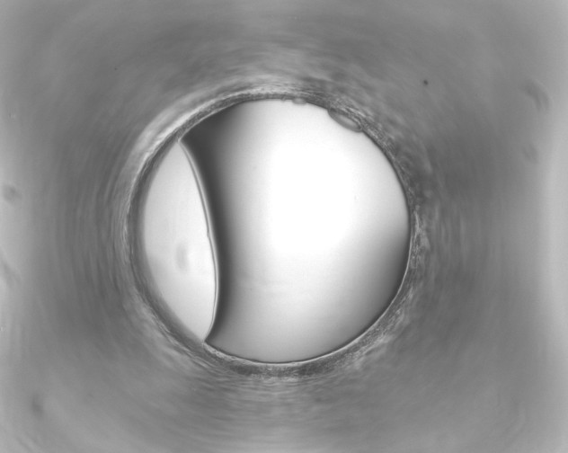 X0000090950247200708021107
