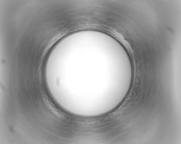 X0000090950250200708021107