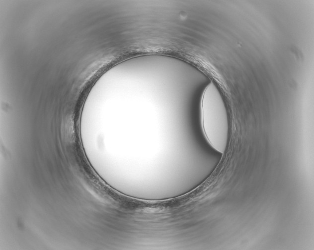 X0000090950251200708021107