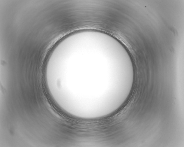 X0000090950252200708021107