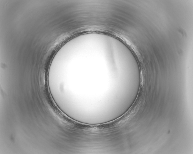 X0000090950253200708021107