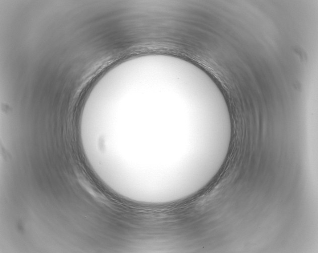 X0000090950254200708021107