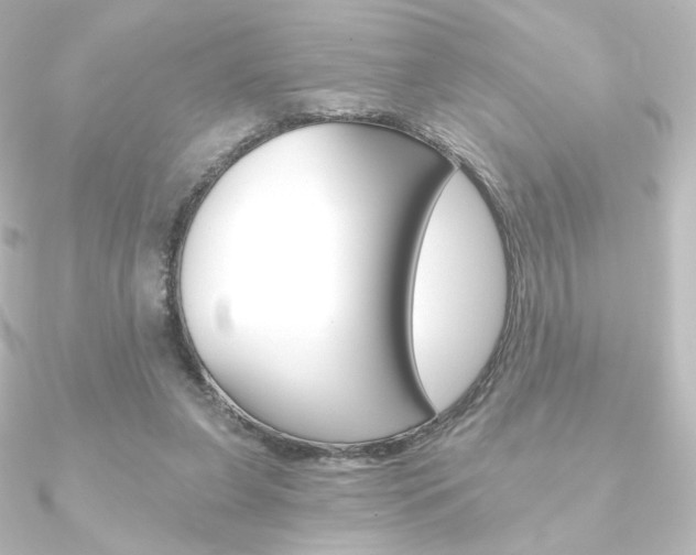 X0000090950255200708021107