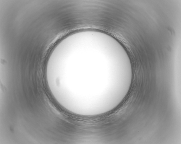 X0000090950256200708021107