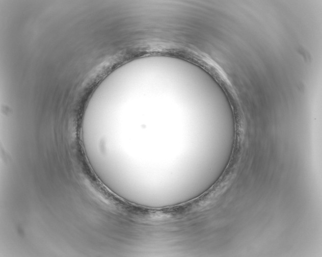 X0000090950257200708021107