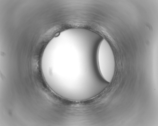 X0000090950259200708021107