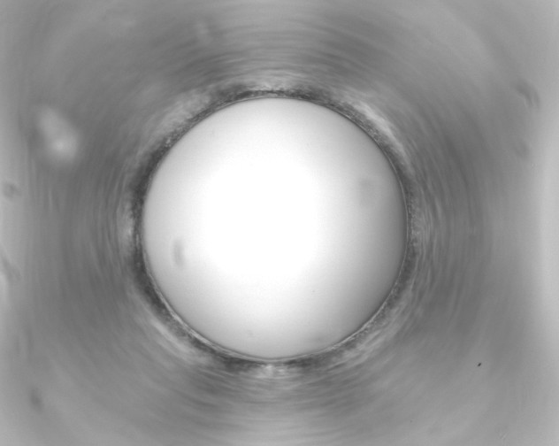 X0000090950261200708021107