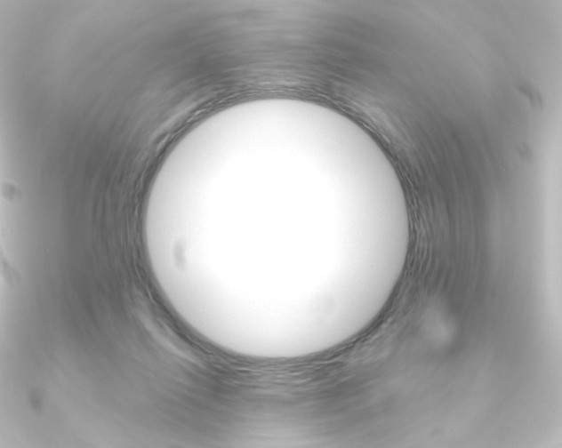 X0000090950262200708021107