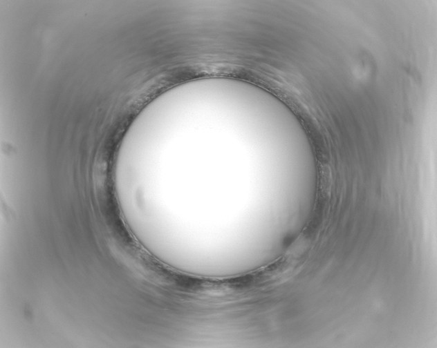 X0000090950263200708021107