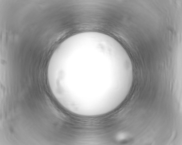 X0000090950264200708021107