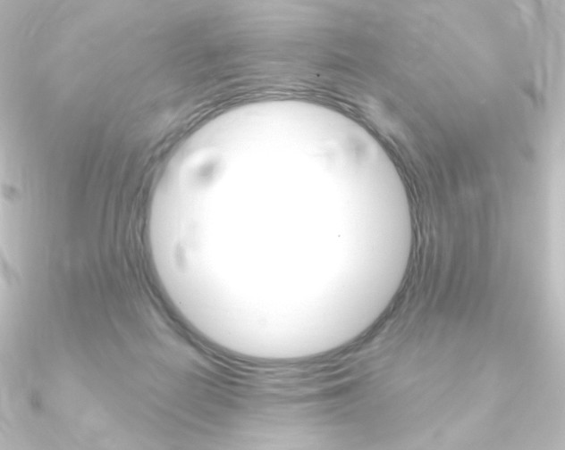 X0000090950266200708021107