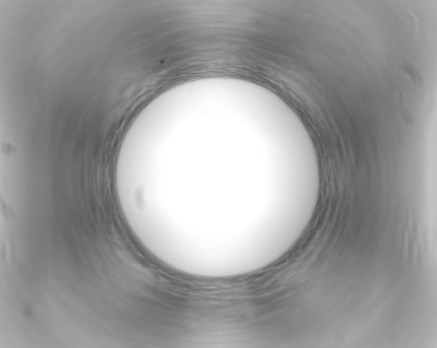 X0000090950268200708021107