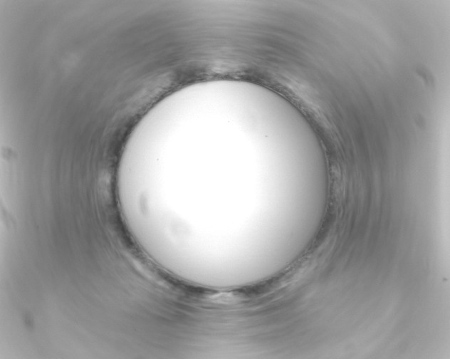 X0000090950269200708021107