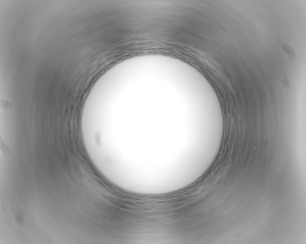 X0000090950270200708021107