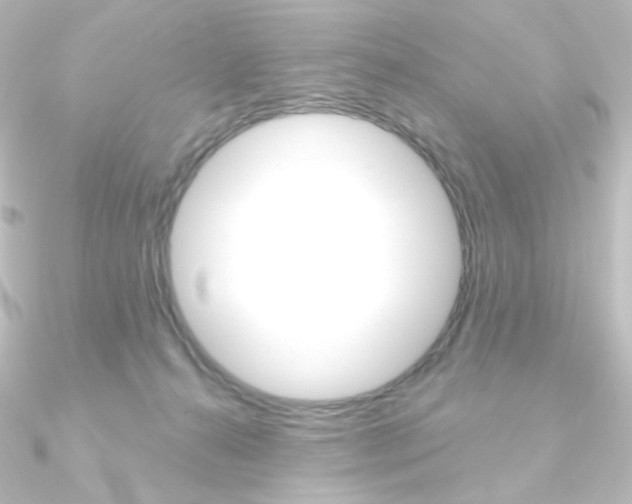 X0000090950272200708021107
