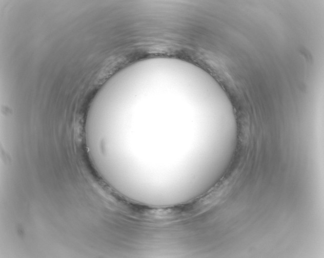 X0000090950273200708021107
