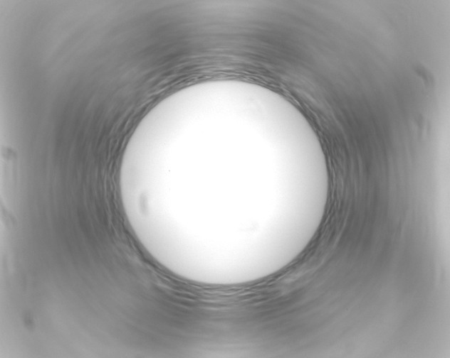 X0000090950274200708021107