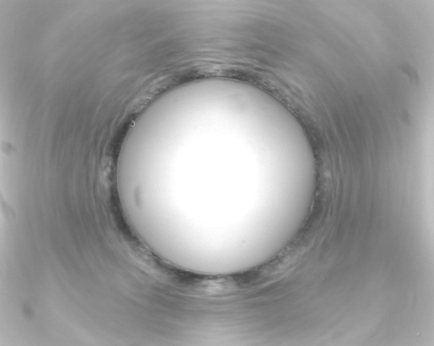 X0000090950275200708021107