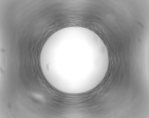 X0000090950276200708021107