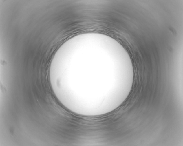 X0000090950278200708021107