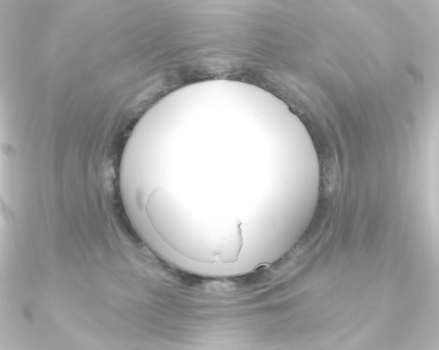X0000090950279200708021107