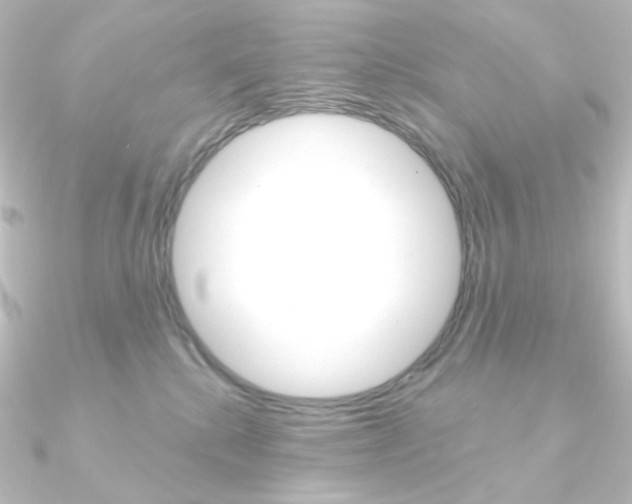 X0000090950280200708021107