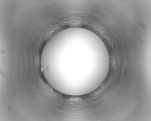 X0000090950283200708021108