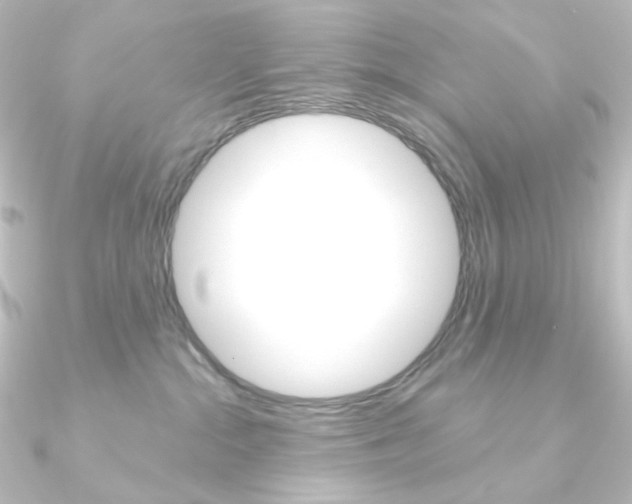 X0000090950284200708021108