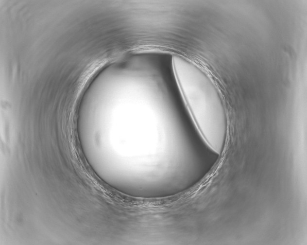 X0000090950289200708021107