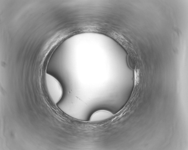 X0000090950291200708021107