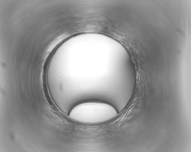 X0000090950292200708021107