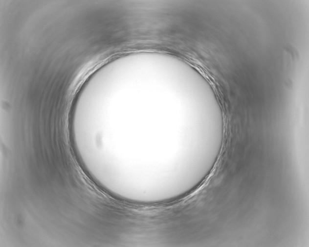 X0000090950293200708021107