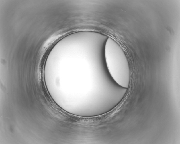 X0000090950294200708021107