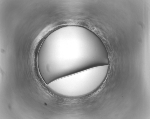 X0000090950295200708021107