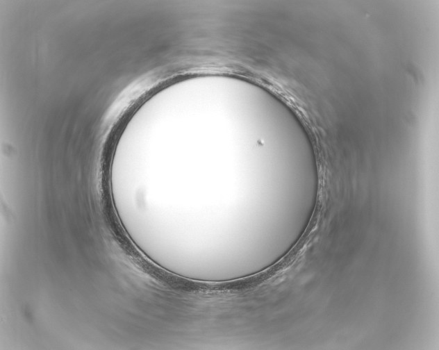 X0000090950296200708021107