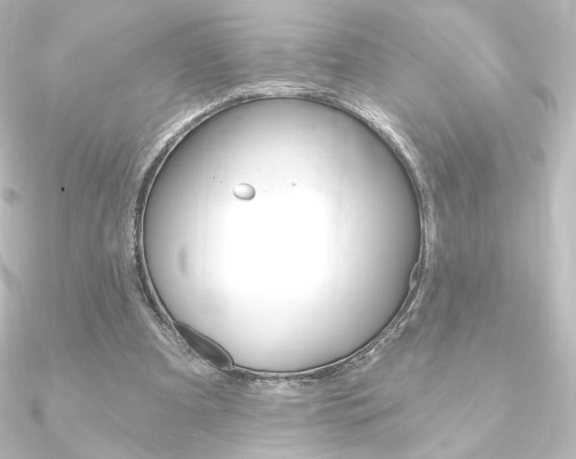 X0000090950297200708021107