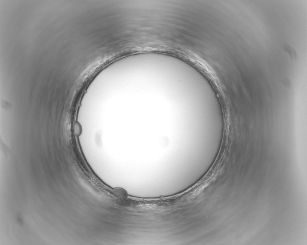X0000090950298200708021107