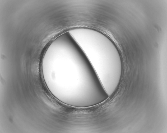 X0000090950299200708021107