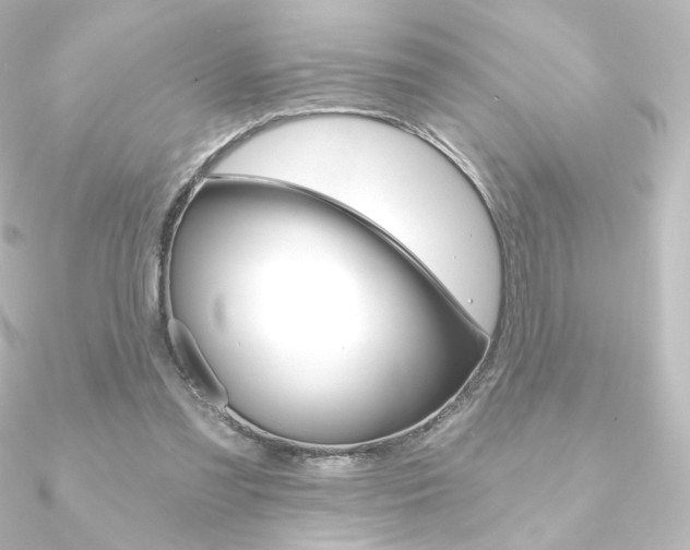 X0000090950301200708021107