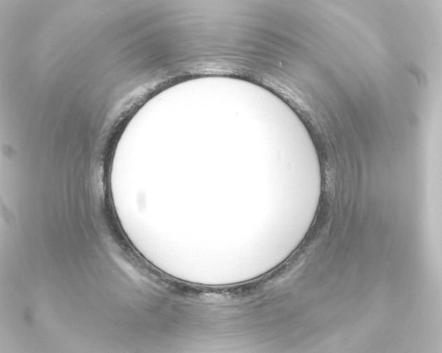 X0000090950302200708021107