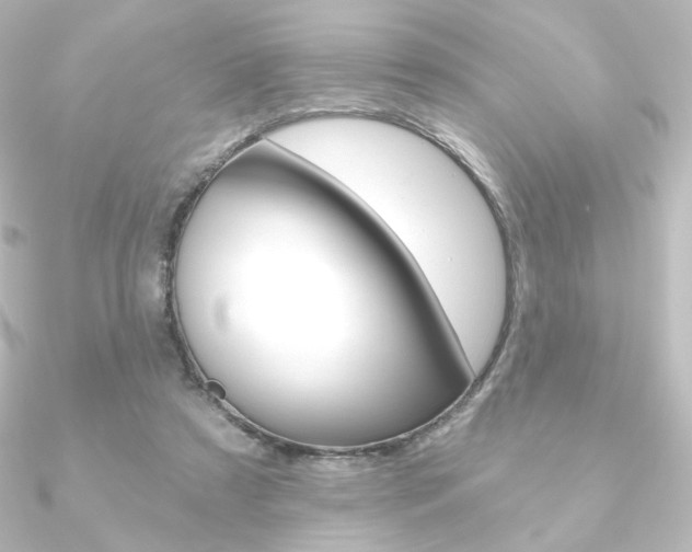 X0000090950305200708021107