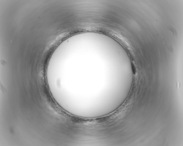 X0000090950306200708021107