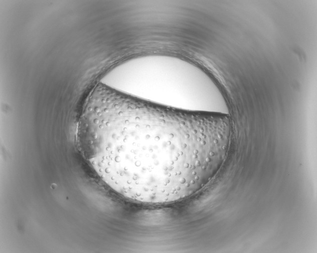X0000090950307200708021107
