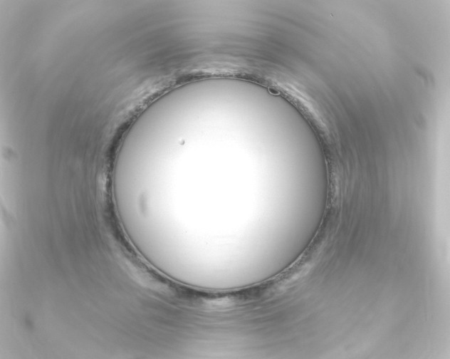 X0000090950309200708021107
