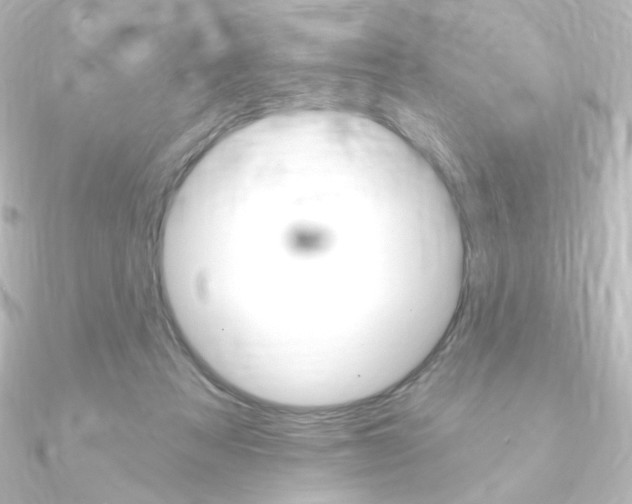 X0000090950313200708021107