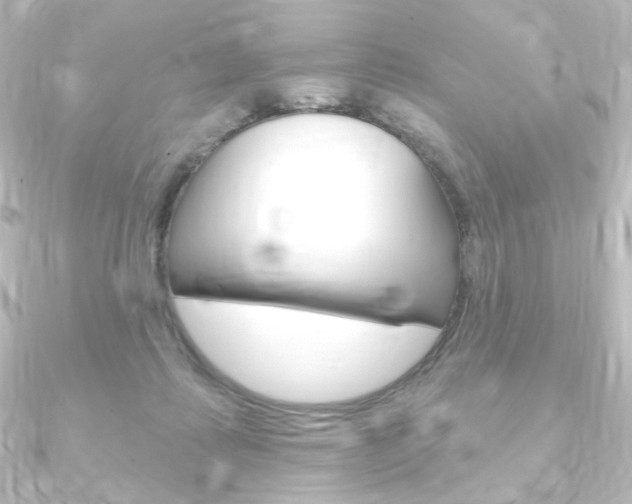 X0000090950315200708021107