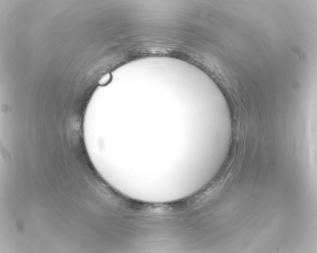 X0000090950321200708021107