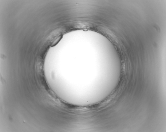 X0000090950322200708021107