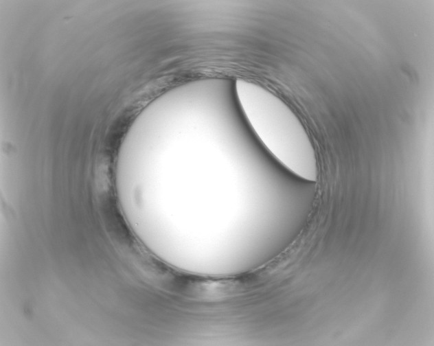 X0000090950323200708021107
